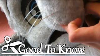 How to make/attach Whiskers ~ Good To Know #1