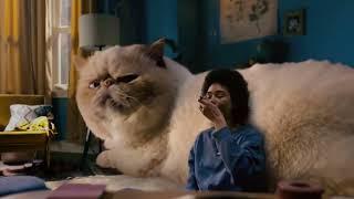 Comfort Deluxified -  Comfy Cat - Kraft Mac and Cheese Deluxe Frozen Commercial