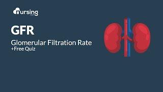 Glomerular Filtration Rate [GFR] Lab Value for Nurses + Free Quiz