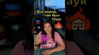 Паук ️ танцующий степ #3дпечать #stl