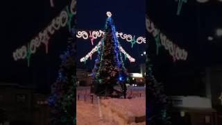 Борислав.Ялинка2017