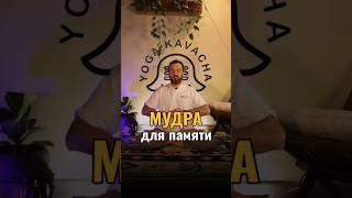 Ганеша мудра #кундалини #кундалинийога #йогадляначинающих #мудра #мудры #ганеша #йогасамара #йога