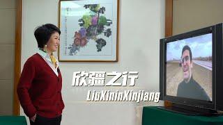 Liu Xin talks to foreign blogger on his experience in Xinjiang