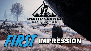 Winter Survival Simulator Demo - First Impression