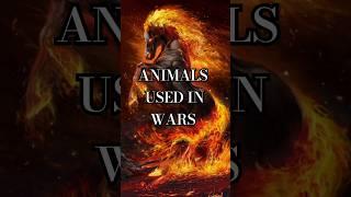 ANIMALS used in WARS : ToP 10