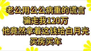 老公骗走我的全部存款只为给别人一个家！#小说#解说#一口气看完系列#杂文#故事汇#家庭伦理