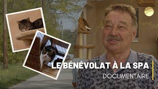 Le bénévolat à la SPA - Documentaire