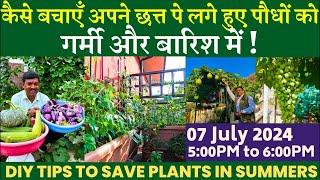 कैसे बचाएँ अपने छत्त पे लगे हुए पौधों को गर्मी और बारिश में || DIY Tips to Save Plants in Summers