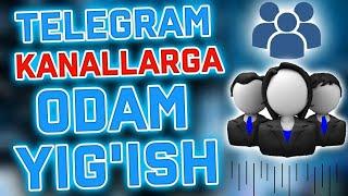 TELEGRAMDA 550K+ BEZNAKRUTKA UZBEK ODAM YIGISH SIRINI OCHDIM || TELEGRAM KANALNI KOTARISH USULLARI