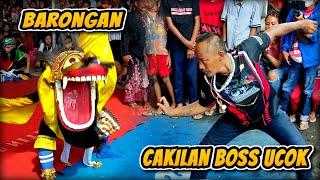 MANTAP‼️ BARONGAN DAN CAKILAN BOS UCOK || EBEG TURONGGO NITIS