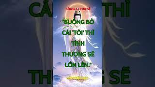Những lời Phật dạy giúp bạn Tu hành Tinh Tấn hơn ! #ĐứcTín