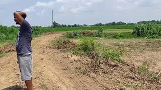 Cheap land for sale  near Bhairahawa, Rupandehi, Nepal property in Nepal 