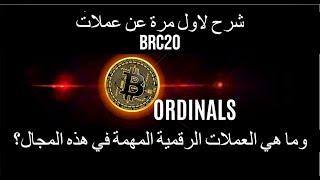 BRC20/ORDINAL PROTOCOL شرح مفصل لفكرة بناء التطبيات والعملات على شبكة البيتكوين باستخدام