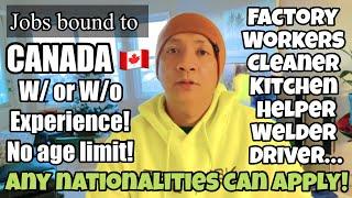 Job opportunities bound to Canada  | No Placement fee! With or without experience! No age limit!