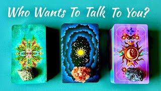 Who Wants To Talk To You And Why - Pick A Card Reading 🪷