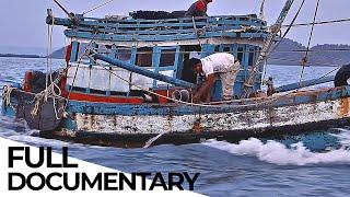 Activists vs Fish Industry: The Deadly Fight for the Future of the Oceans | ENDEVR Documentary
