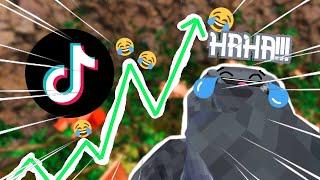 Funniest OMB tiktoks of ALL TIME!!! #gorillatag #funnymemes #tiktok