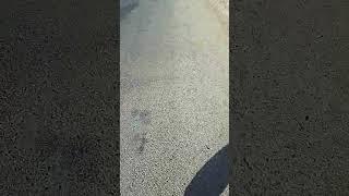 В субботу идти на работу лень #shortsvideo