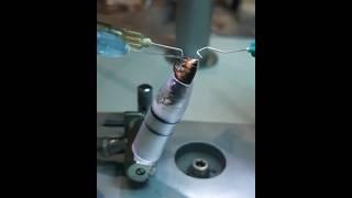 Элитными наши матки становятся именно так! ИО #карника #матководство