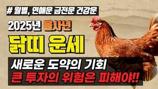 2025년 을사년 닭띠 연애운 재물운 학업운 월별 운세까지!!