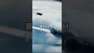 기장을 매달고 추락하던 여객기