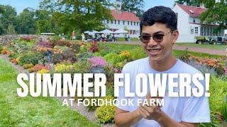 Summer Flowers at Fordhook Farm, Burpee Garden!