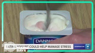 New study says morning yogurt could help manage depression, anxiety