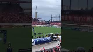 Festa da torcida do CRB antes da final #crb #futebol #alagoano #asadearapiraca #shorts #fypシ #fyp