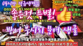 활어횟감 방어 숭어 생굴 꼬막 갈치 12/23일  04시반 정규라이브(월~토)️Only one 새롭고 싸고 다양한 노량진수산시장 새벽 쇼핑을 돕는 정규생방송(Live)운영~^^