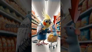 I seriously won’t let you down...  #funny #parrot #cockatiel