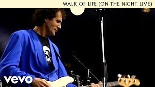Dire Straits - Walk Of Life (On The Night Live)