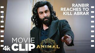 ANIMAL SCENE #23: Ranbir Reaches To Kill Abrar | Ranbir K, Bobby Deol, Sandeep V, Bhushan K