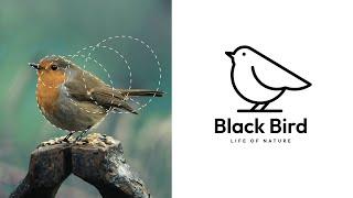 Logo Design - Bird Logo