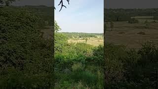 11 червня 2023 р.