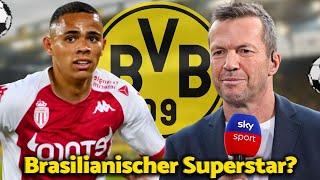  BEKOMMT IHN DER BVB? NEUESTEN NACHRICHTEN! TOP-TALENT VON MONACO BIS BORUSSIA DORTMUND!