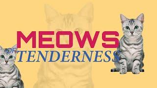 Meows of Tenderness | Melodic Musings