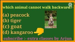 #amazingfacts about animals #kangaroo #shorts#funfacts#full general knowledge