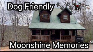 Dog Friendly Amazing cabin In The Heart of The Smoky Mountains Must See &  Budget Friendly !