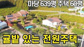 서귀포 앞마당에는 귤밭이 마당이 너무 아름다운 완벽한 전원주택(NO.381)