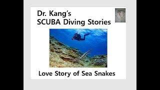 0095 Love Story of the Snakes