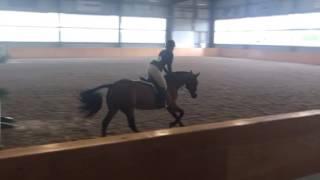 Palgrave Week 3, Round 3, Gabrielle and Hat Trick