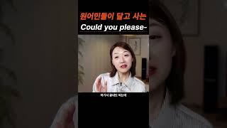 원어민들이 진짜 매일 쓰는 "Could you please-?"
