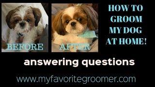 How to groom my own dog at home? Let's talk to a caller!