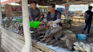 Las Marisqueras de Yavaros preparan Montañas de Mariscos