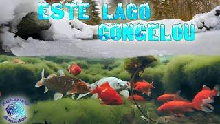 NEVOU NA MINHA CIDADE – O que fazer no frio em lago ornamental