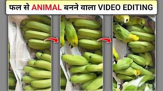 Phal Se Animal Banaane Wala Ai Video Kaise Banaye | Ai Animal Like Fruit