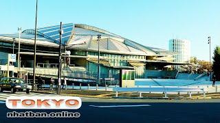 Walking around Meiji Jingu Stadium in Tokyo City #4k#tokyo #mejijingu | Explore Japan