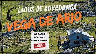 RUTA MODERADA 🟨 | LAGOS DE COVADONGA - REFUGIO VEGA DE ARIO (CIRCULAR)  | ALISEA CON NIEBLA 