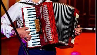 Accordion hits - the most beautiful melodies on the accordion