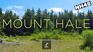 Hiking Mount Hale | NH48